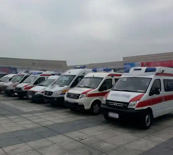 临海市服务车队展示